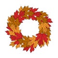 Wreath frame autumn maple leaves on a white background vector illustration Royalty Free Stock Photo